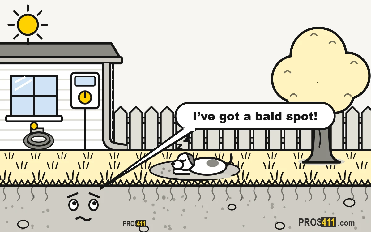 Bare spots in the lawn: how to fill them Cartoon lawn with a bare dirt spot where the dog always lies