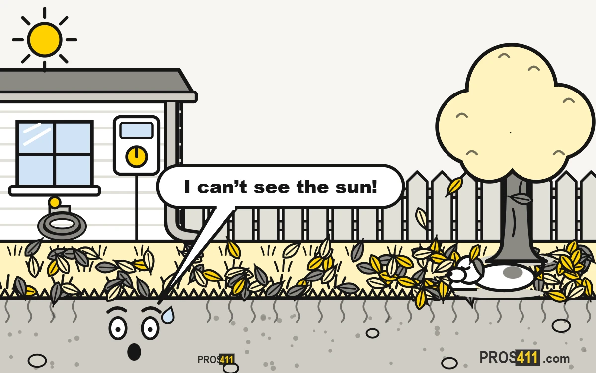 Fall leaves on the lawn: rake, mulch or leave them Cartoon lawn buried under fall leaves, with leaves still dropping and one landing on a sleeping dog