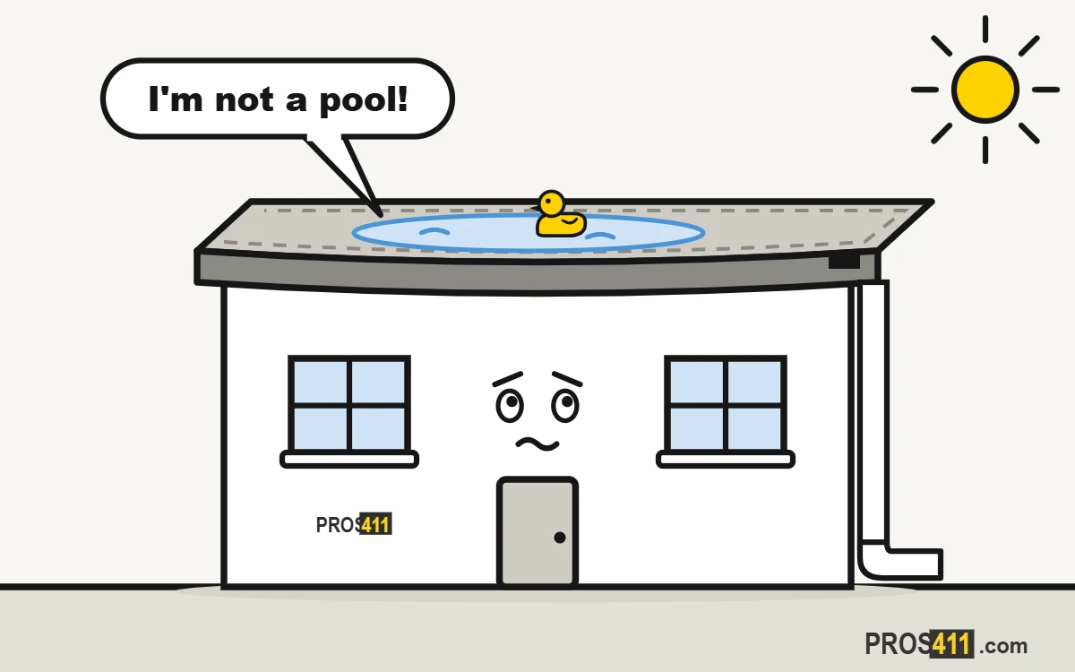 Water pooling on a flat roof: what to do Cartoon flat-roof house with a big puddle on top and a rubber duck floating in it