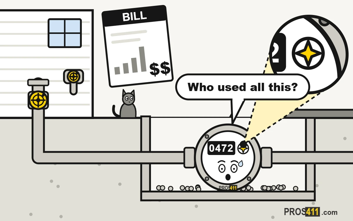 High water bill: how to find a hidden leak with the meter test Cartoon water meter in its curb box looking at a sky-high water bill, with a cat watching