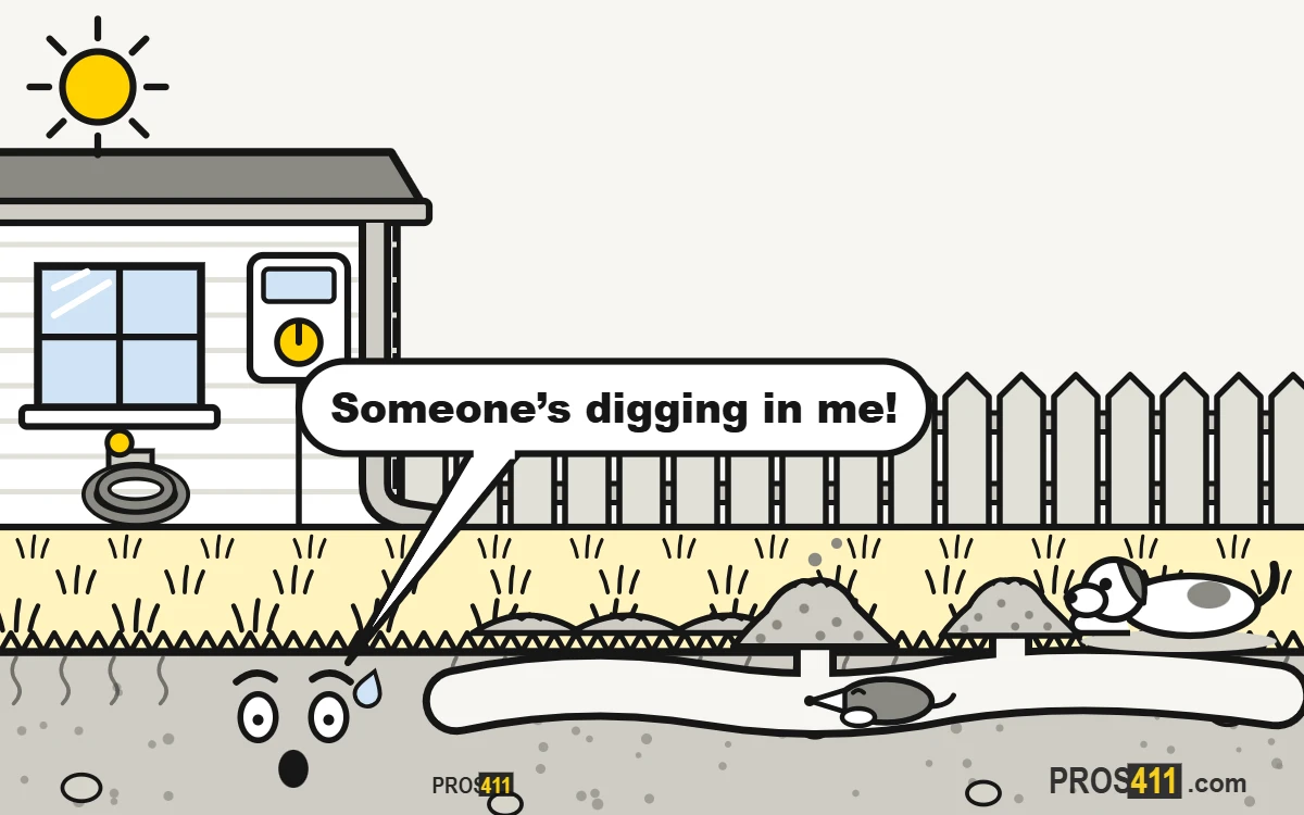 Mole tunnels and mounds in the yard: what to do Cartoon yard with raised mole tunnels and dirt mounds, a mole digging underground and a dog staring at the mound