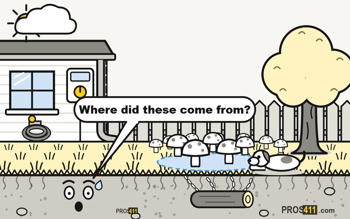 Mushrooms in the lawn: what they mean and what to do Cartoon lawn with mushrooms popping up after rain, a dog sniffing them and old buried wood under the soil