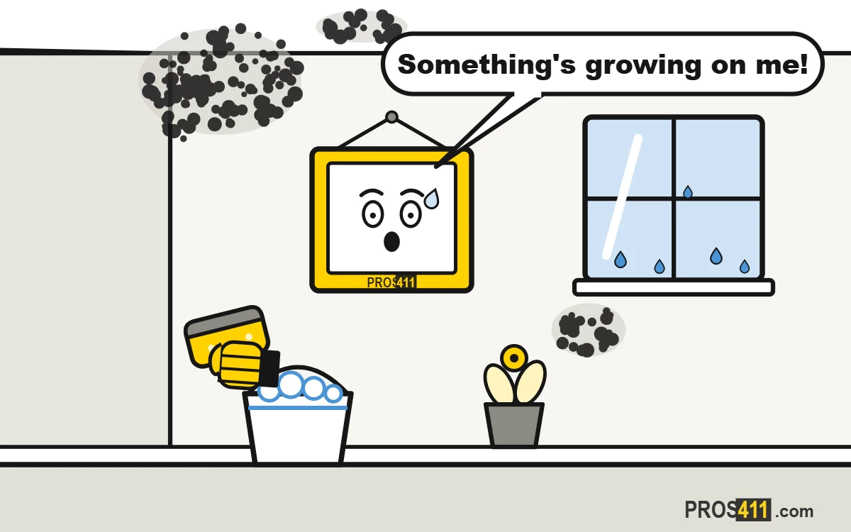 Mold on walls or ceiling: how to clean it safely Cartoon picture frame scared of black mold spreading from the ceiling corner, with a sponge and a bucket of soapy water on the way
