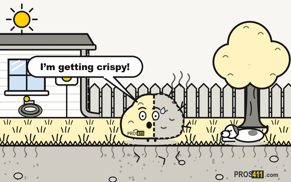 Shrubs turning brown: find out why and save them Cartoon shrub turning brown and crispy on one side under the hot sun