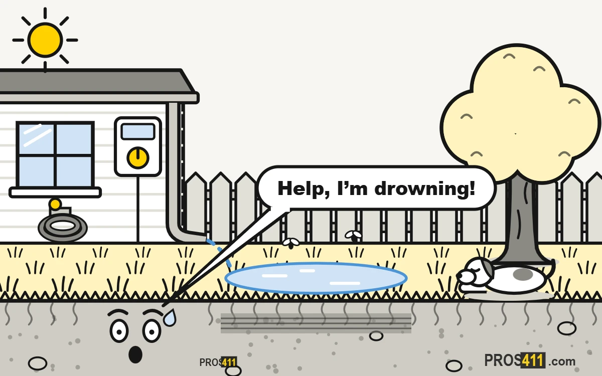 Water pooling in the yard: why it happens and how to fix it Cartoon lawn with a big puddle that will not drain and a downspout pouring into it