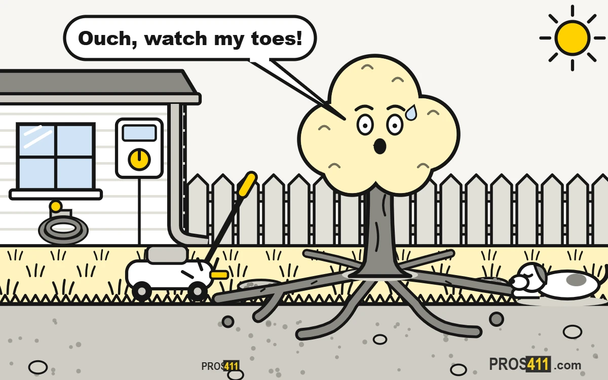 Tree roots showing above the lawn: what to do Cartoon tree with thick roots showing above the lawn, a lawn mower bumping into one of them