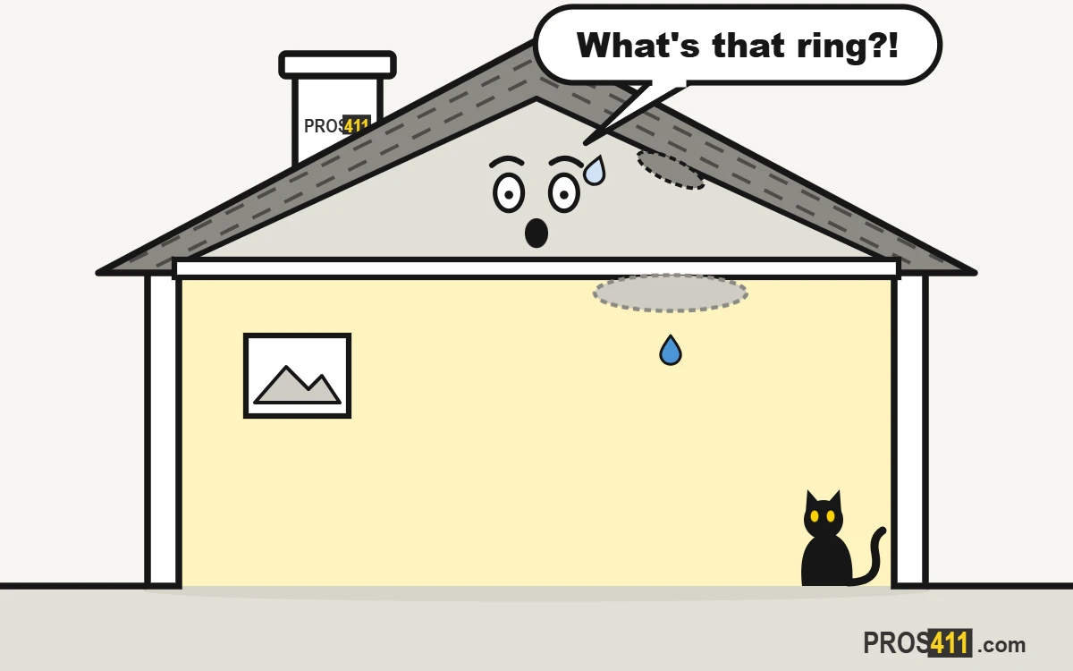 Cartoon house cutaway with a brown water stain on the living room ceiling and a cat looking up