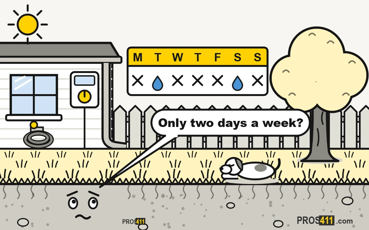Watering restrictions: how to keep your lawn alive Cartoon lawn looking worried at a city watering schedule that allows only two days a week